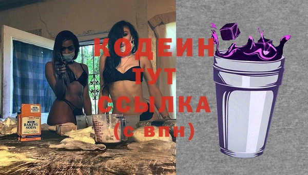 мдпв Вязьма