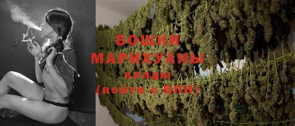 мдпв Вязьма