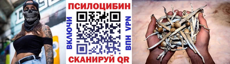 Галлюциногенные грибы мицелий  мега   Домодедово  сколько стоит 